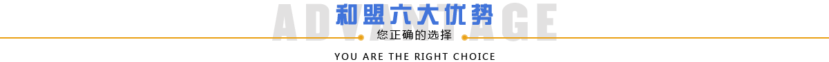 和盟六大優勢